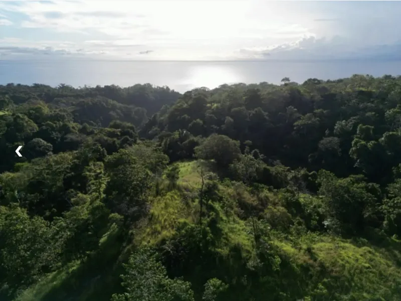 Land For Sale in Delicias, photo 7
