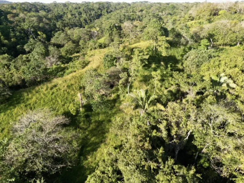 Land For Sale in Delicias, photo 8