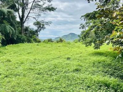 PRIVATE OCEAN & MOUNTAIN VIEW LOT IN GATED COMMUNITY – 4.16 ACRES, photo 26