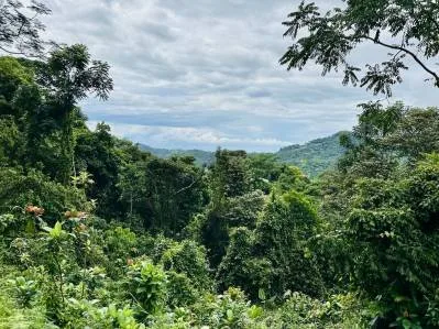 PRIVATE OCEAN & MOUNTAIN VIEW LOT IN GATED COMMUNITY – 4.16 ACRES, photo 29