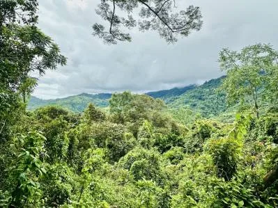 PRIVATE OCEAN & MOUNTAIN VIEW LOT IN GATED COMMUNITY – 4.16 ACRES, photo 33