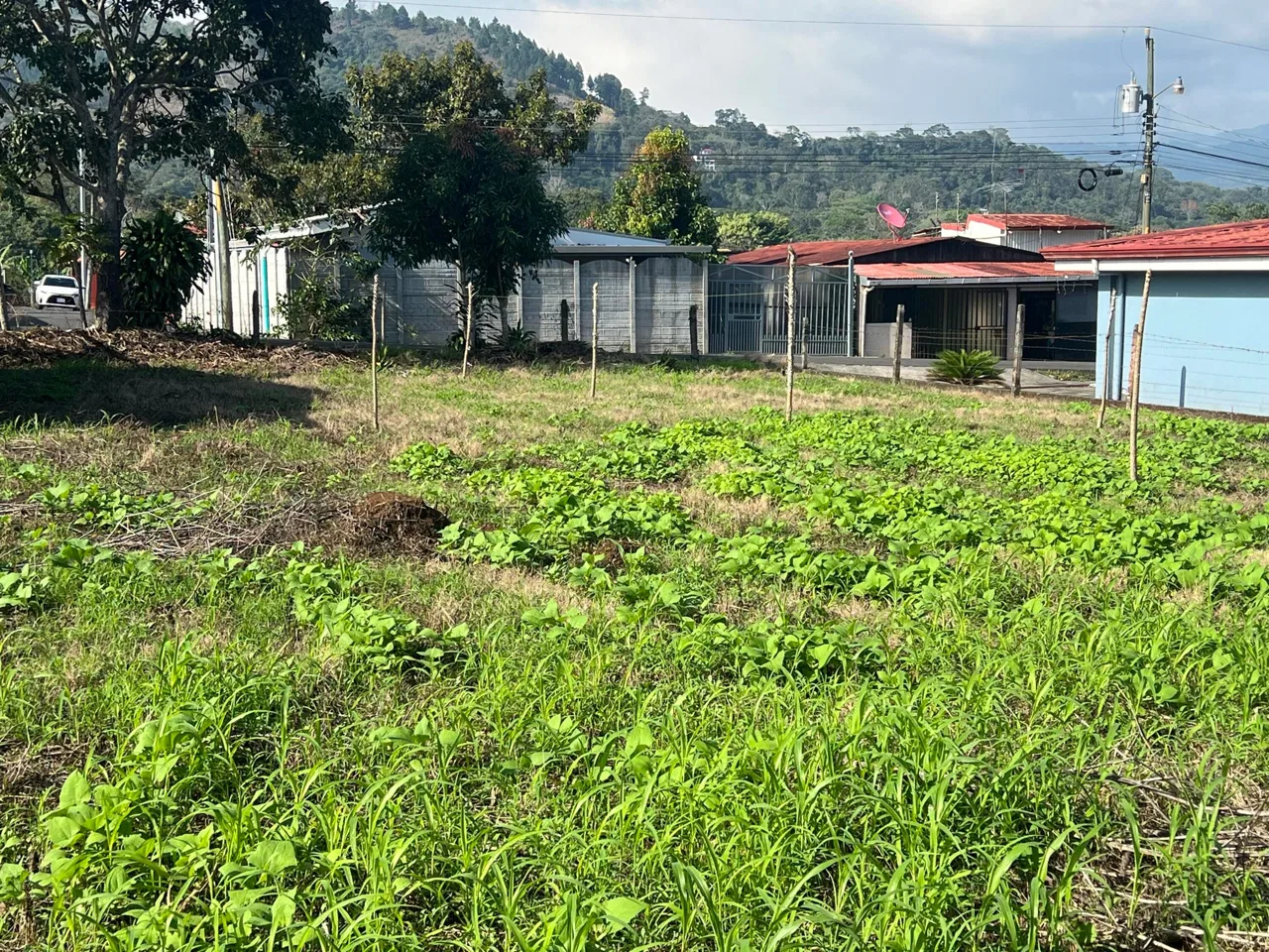 Lote en Venta en San Miguel ,Naranjo, photo 2