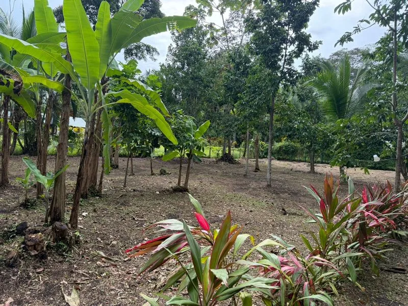 Land For Sale in Puerto Viejo, photo 3