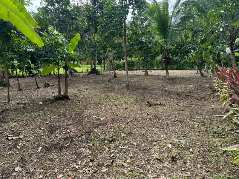 Land For Sale in Puerto Viejo, photo 4