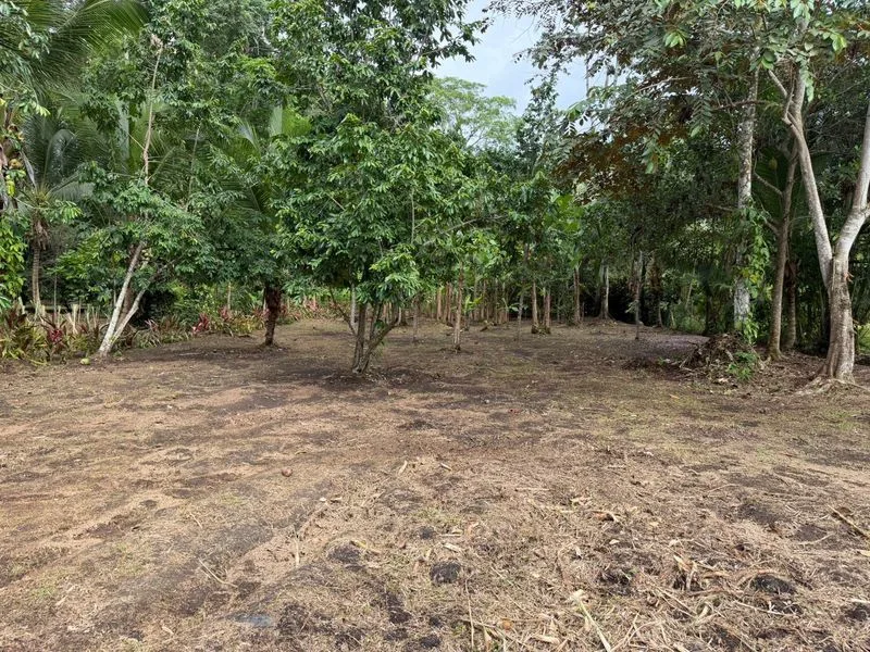 Land For Sale in Puerto Viejo, photo 5