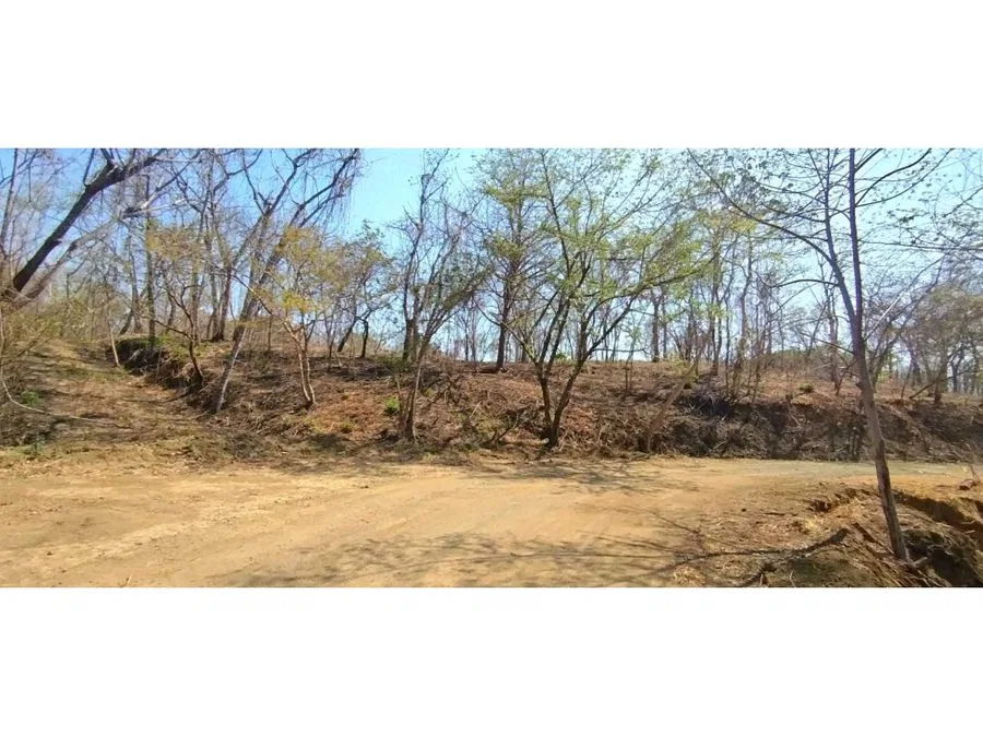 Private Ocean & Mountain View Lot with Native Trees at Marbella