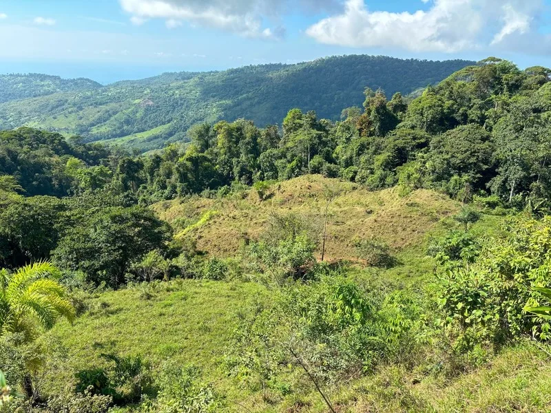 Land For Sale in Dominical, photo 11