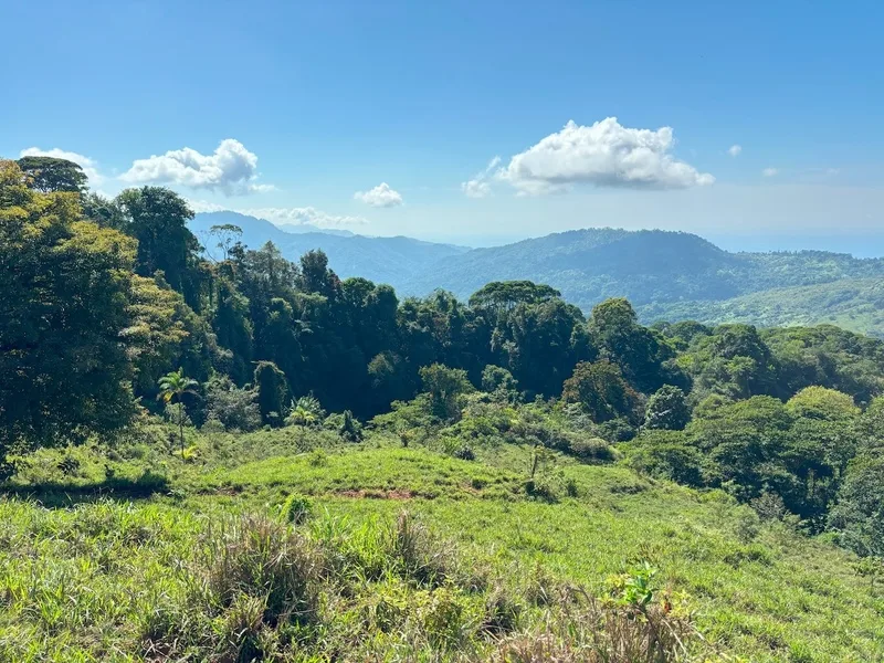 Land For Sale in Dominical, photo 12