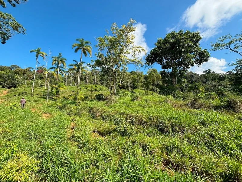 Land For Sale in Dominical, photo 13