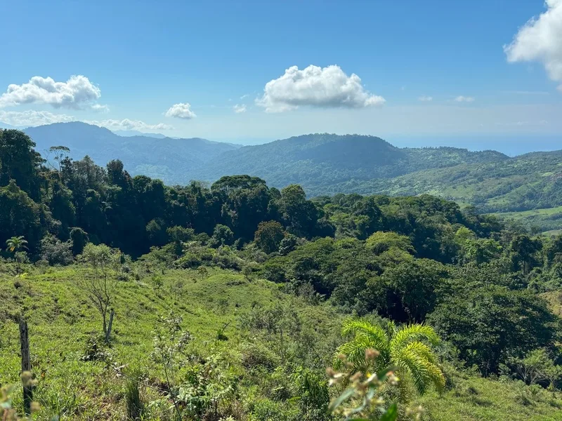 Land For Sale in Dominical, photo 14