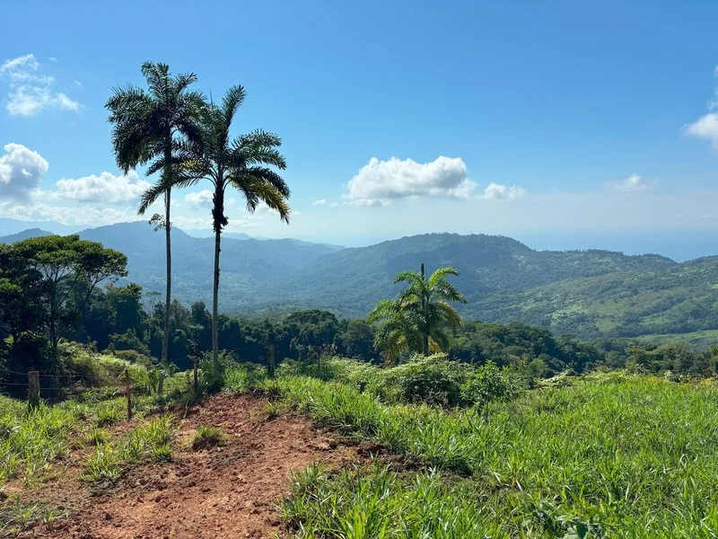 Land For Sale in Dominical, photo 3
