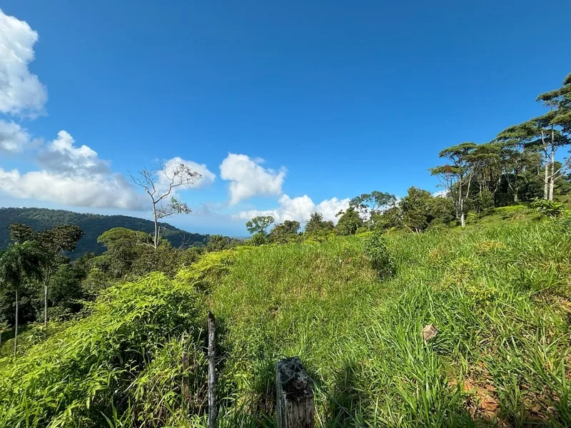 Land For Sale in Dominical, photo 4