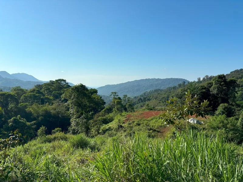 Land For Sale in Dominical, photo 6