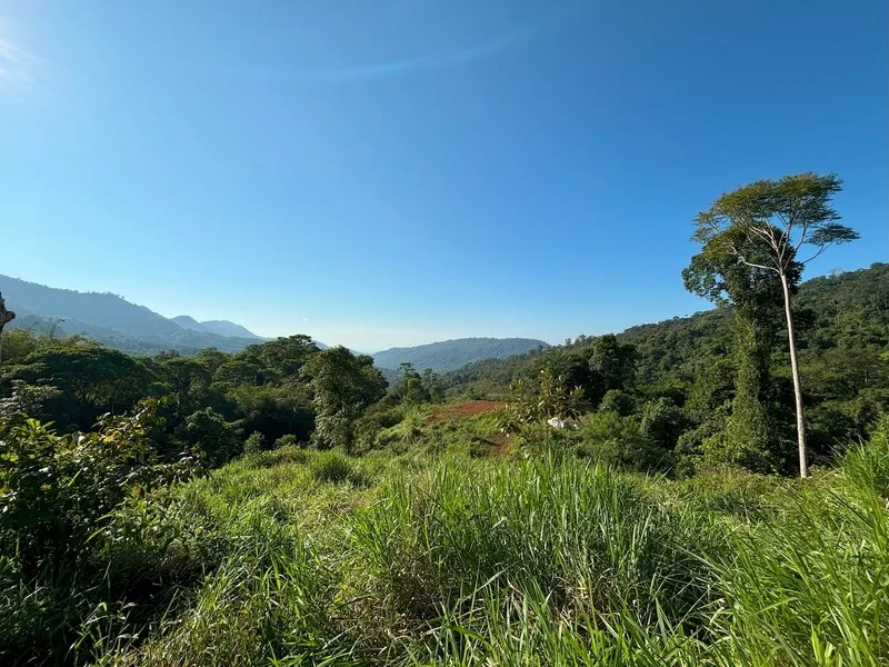 Land For Sale in Dominical, photo 7