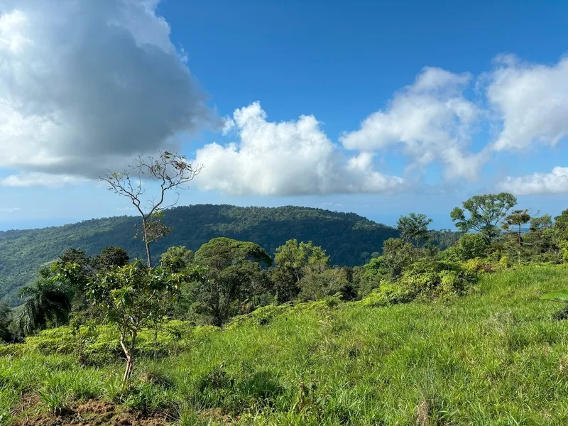 Land For Sale in Dominical, photo 8