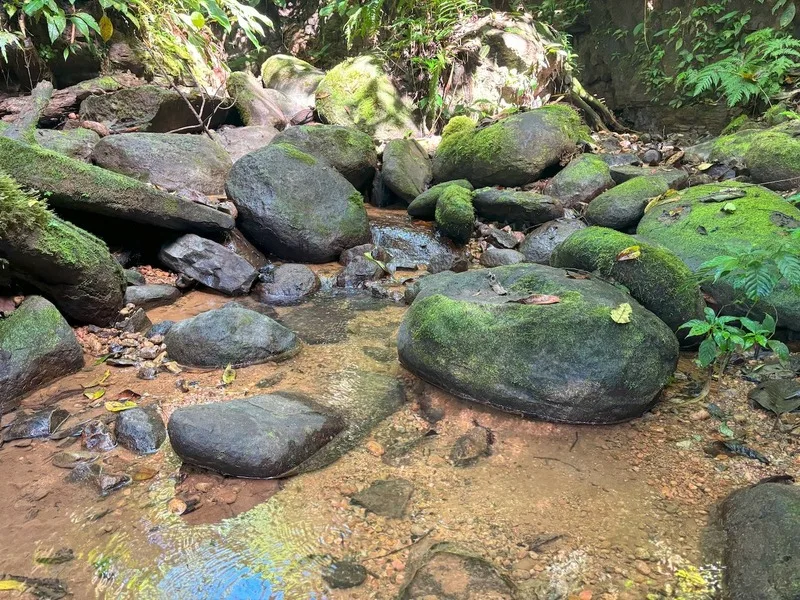 Land For Sale in Dominical, photo 9