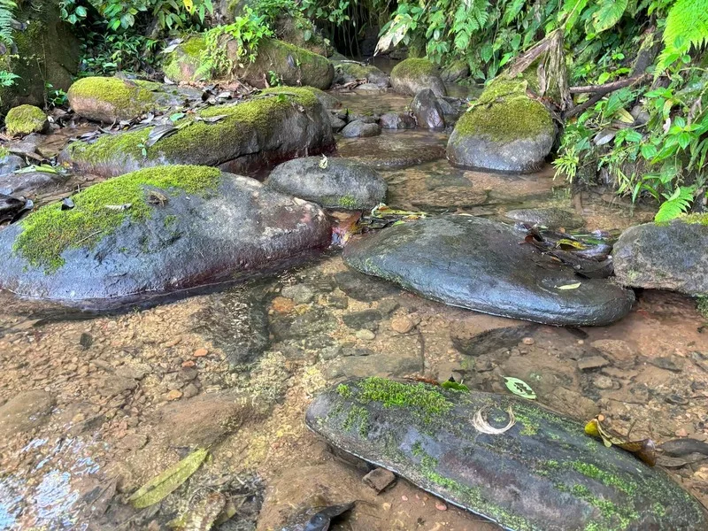 Land For Sale in Dominical, photo 10