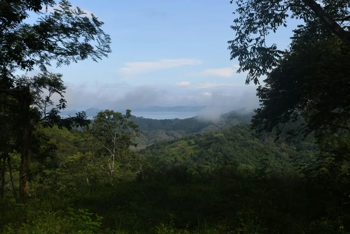 Are you looking for absolute tranquility, privacy and an authentic piece of Costa Rica? This 56-hectare wooded finca offers you a rare opportunity. Located in a rural, deep green ...