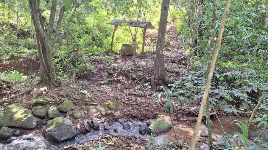 FINCA EN VENTA EN PÉREZ ZELEDÓN – GRAN POTENCIAL DE DESARROLLO - Venta en Perez Zeledón, photo 7