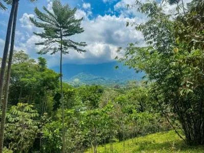 Un gran lote de 3,92 acres con vista a la montaña, al océano y a la jungla en el corazón de Ojochal, photo 2
