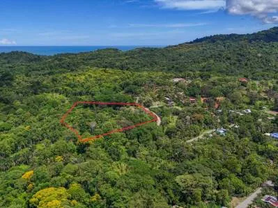 Un gran lote de 3,92 acres con vista a la montaña, al océano y a la jungla en el corazón de Ojochal, photo 5