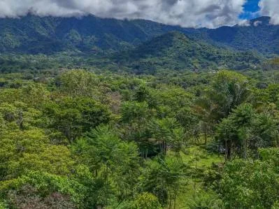 Un gran lote de 3,92 acres con vista a la montaña, al océano y a la jungla en el corazón de Ojochal, photo 7