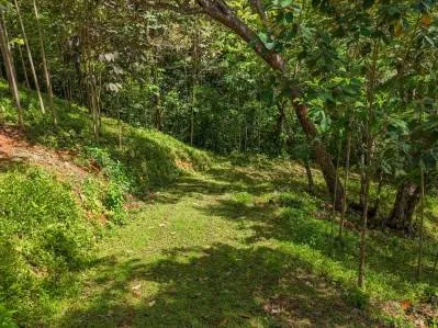 Un gran lote de 3,92 acres con vista a la montaña, al océano y a la jungla en el corazón de Ojochal, photo 8