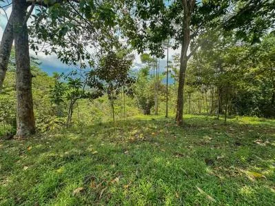 Un gran lote de 3,92 acres con vista a la montaña, al océano y a la jungla en el corazón de Ojochal, photo 9