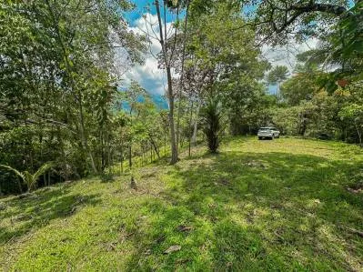 Un gran lote de 3,92 acres con vista a la montaña, al océano y a la jungla en el corazón de Ojochal, photo 10