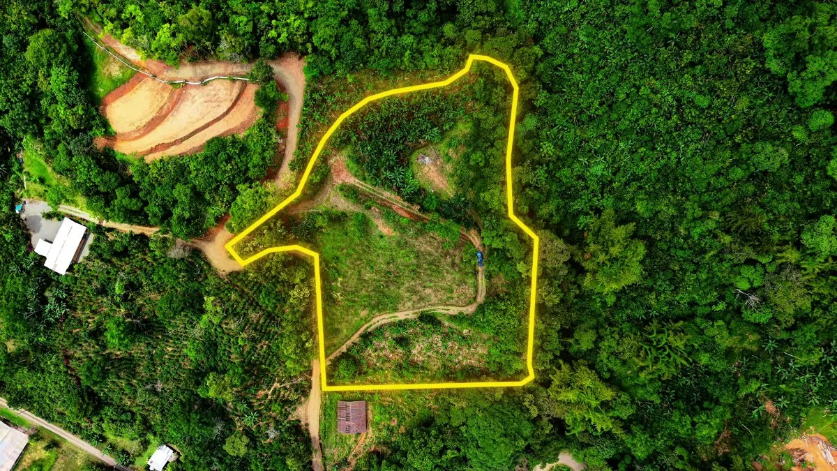SE VENDE FINCA CON CASCADA PRIVADA Y ENTORNO NATURAL UNICO - Venta en Pérez Zeledón