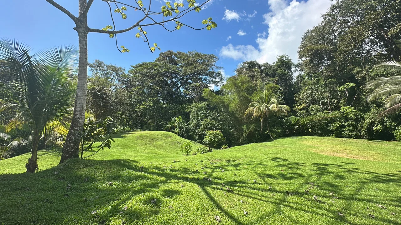 BUILDING PROPERTY NEAR TO THE RIVER, IN LAS BRISAS – 2.28 ACRES, photo 11