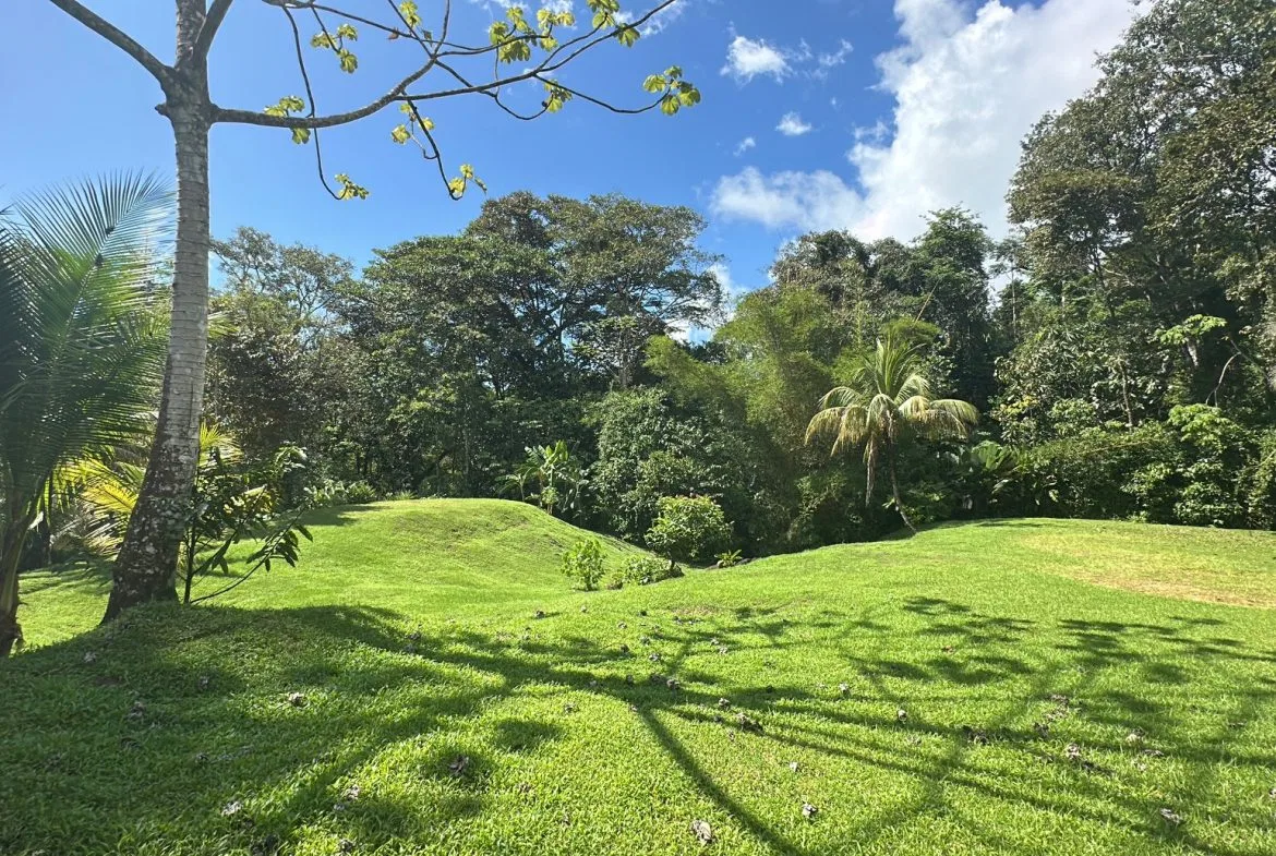 BUILDING PROPERTY NEAR TO THE RIVER, IN LAS BRISAS – 2.28 ACRES, photo 12