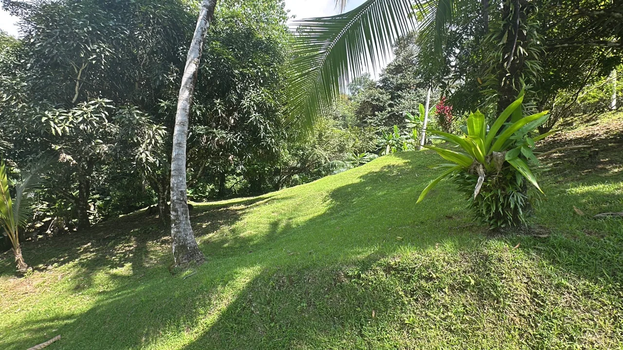 BUILDING PROPERTY NEAR TO THE RIVER, IN LAS BRISAS – 2.28 ACRES, photo 13