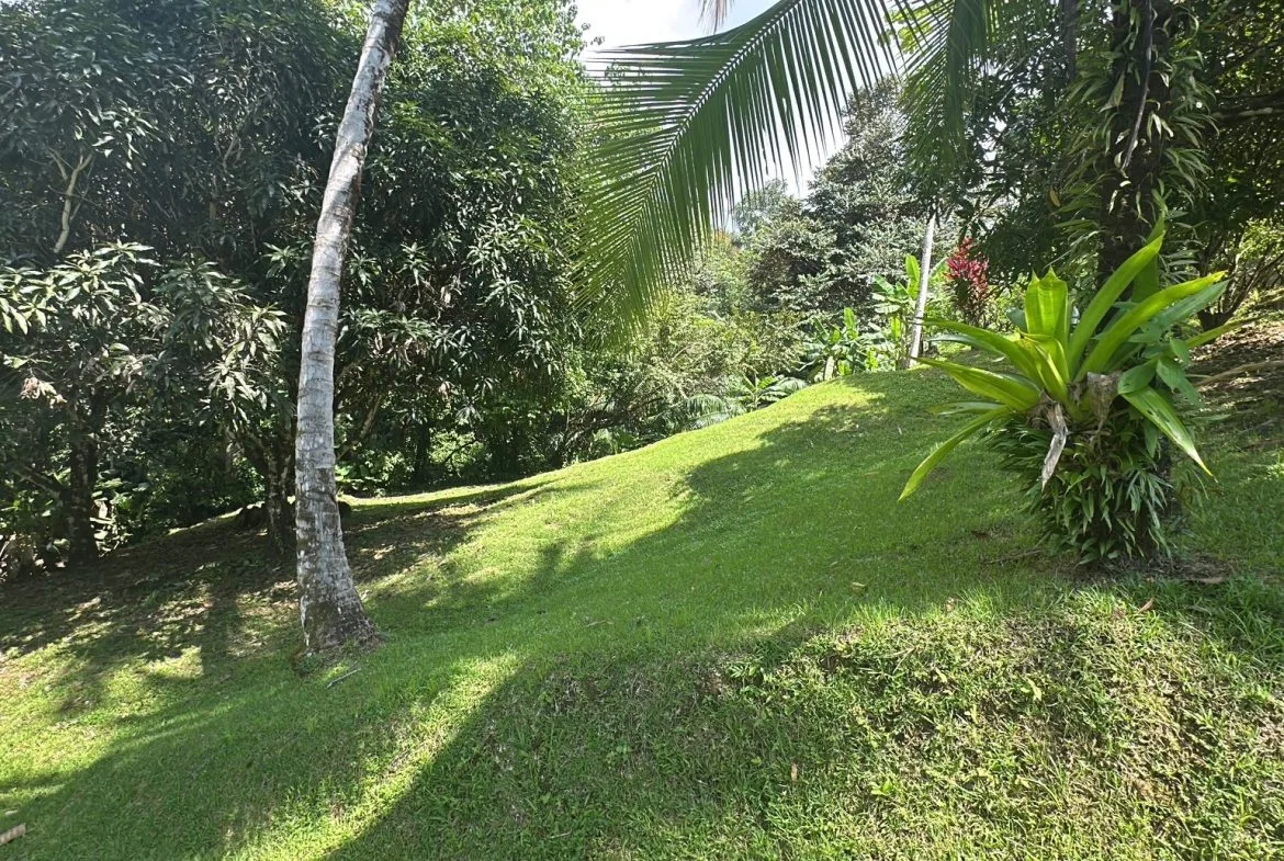 BUILDING PROPERTY NEAR TO THE RIVER, IN LAS BRISAS – 2.28 ACRES, photo 14