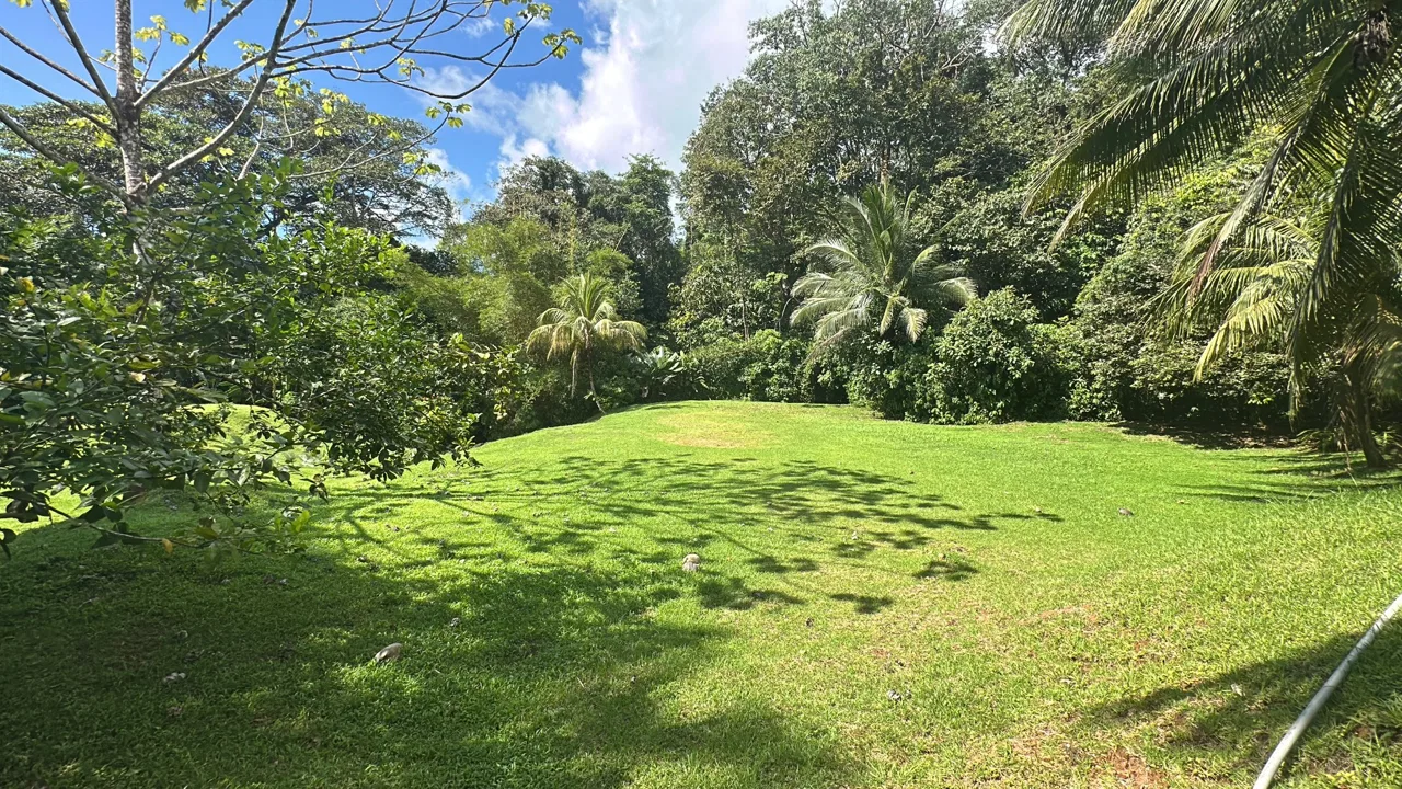 BUILDING PROPERTY NEAR TO THE RIVER, IN LAS BRISAS – 2.28 ACRES, photo 17