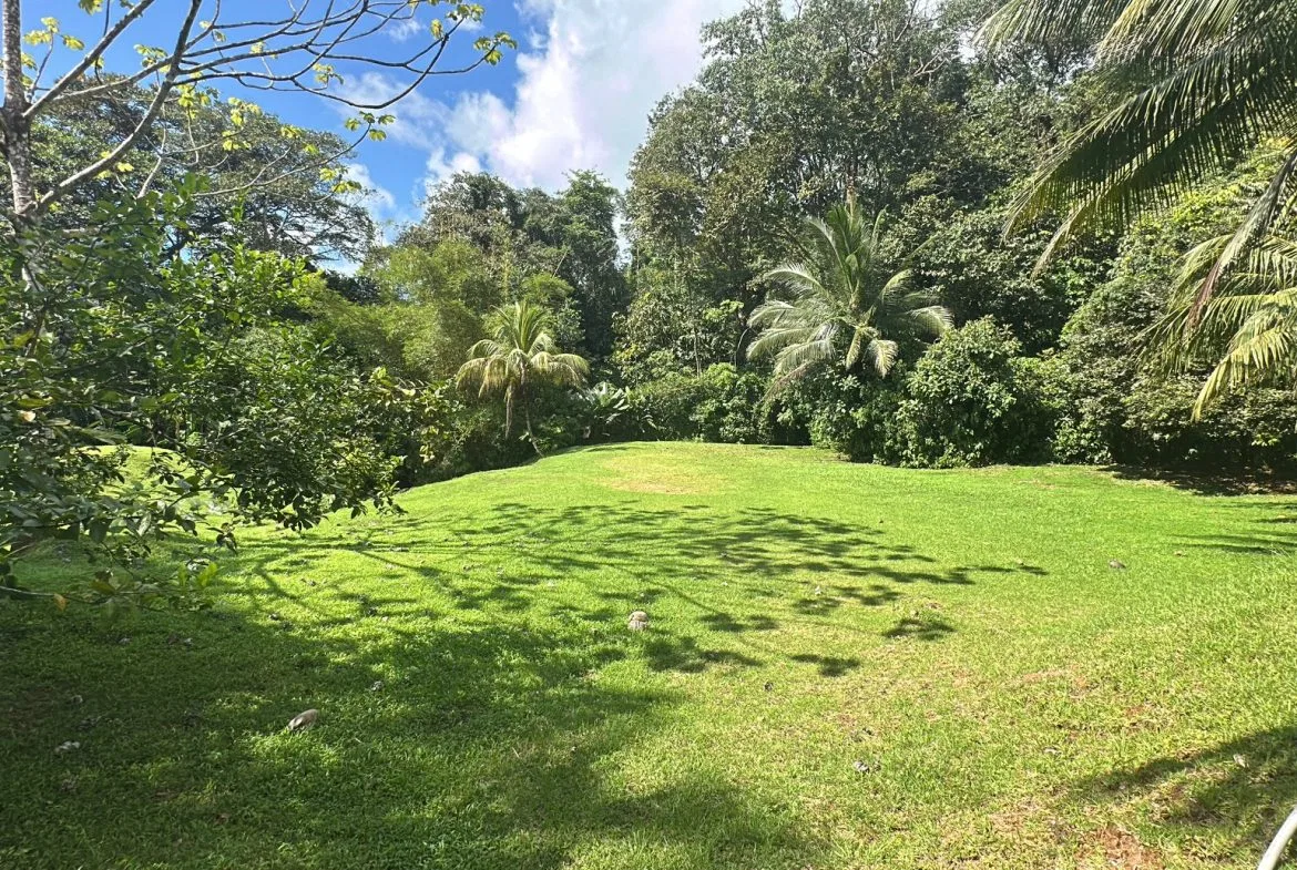BUILDING PROPERTY NEAR TO THE RIVER, IN LAS BRISAS – 2.28 ACRES, photo 18