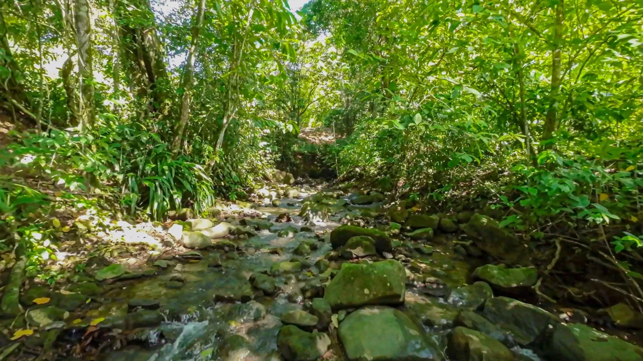 BUILDING PROPERTY NEAR TO THE RIVER, IN LAS BRISAS – 2.28 ACRES, photo 19