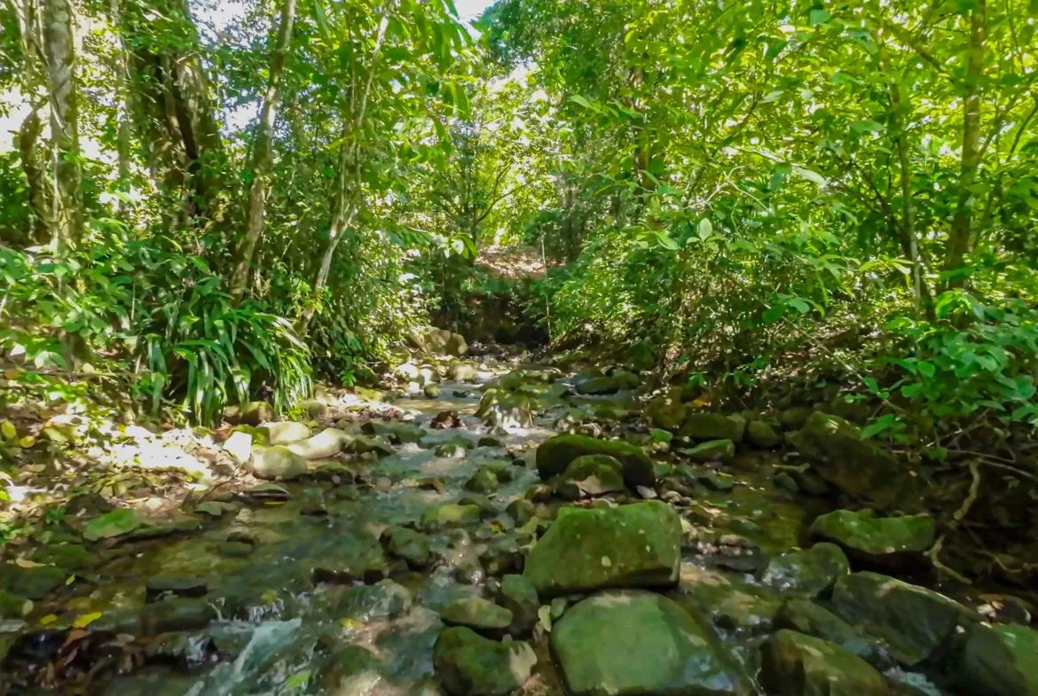 BUILDING PROPERTY NEAR TO THE RIVER, IN LAS BRISAS – 2.28 ACRES, photo 20