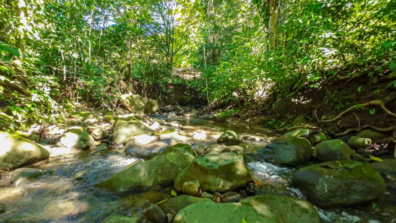 BUILDING PROPERTY NEAR TO THE RIVER, IN LAS BRISAS – 2.28 ACRES, photo 21