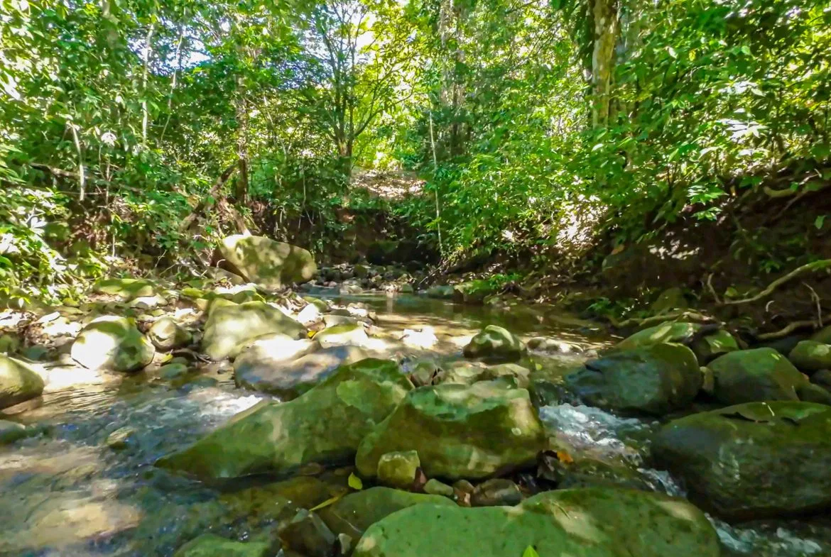 BUILDING PROPERTY NEAR TO THE RIVER, IN LAS BRISAS – 2.28 ACRES, photo 22