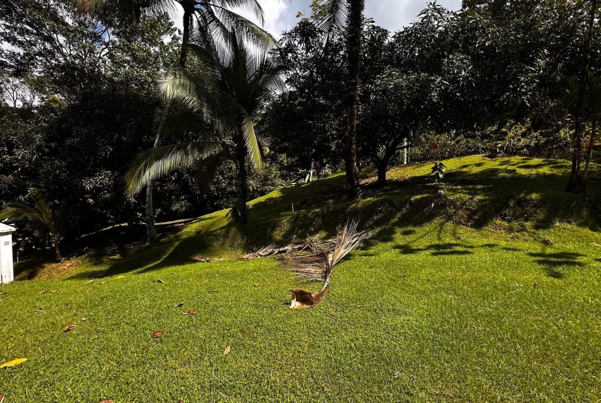 BUILDING PROPERTY NEAR TO THE RIVER, IN LAS BRISAS – 2.28 ACRES, photo 4
