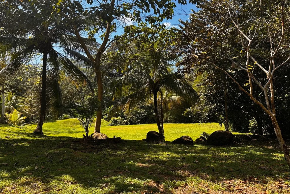 BUILDING PROPERTY NEAR TO THE RIVER, IN LAS BRISAS – 2.28 ACRES, photo 6