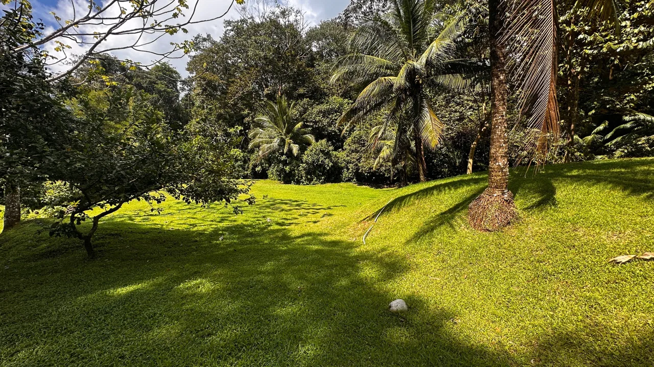 BUILDING PROPERTY NEAR TO THE RIVER, IN LAS BRISAS – 2.28 ACRES, photo 7