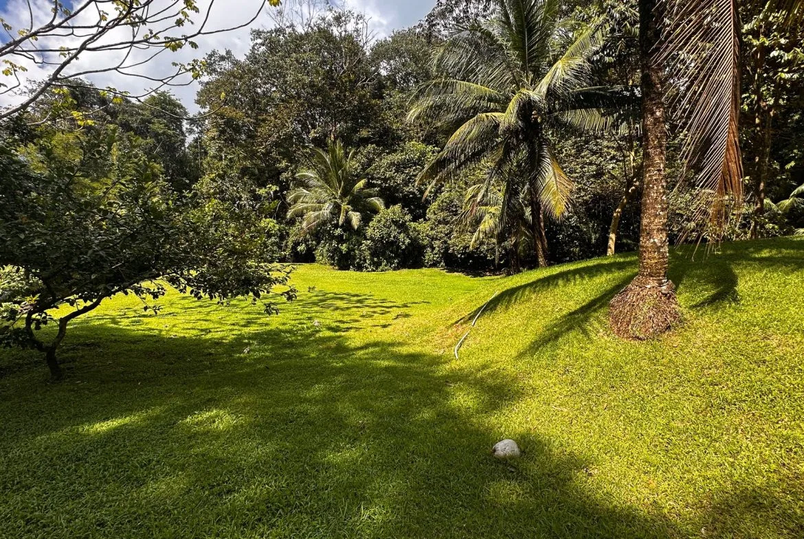 BUILDING PROPERTY NEAR TO THE RIVER, IN LAS BRISAS – 2.28 ACRES, photo 8