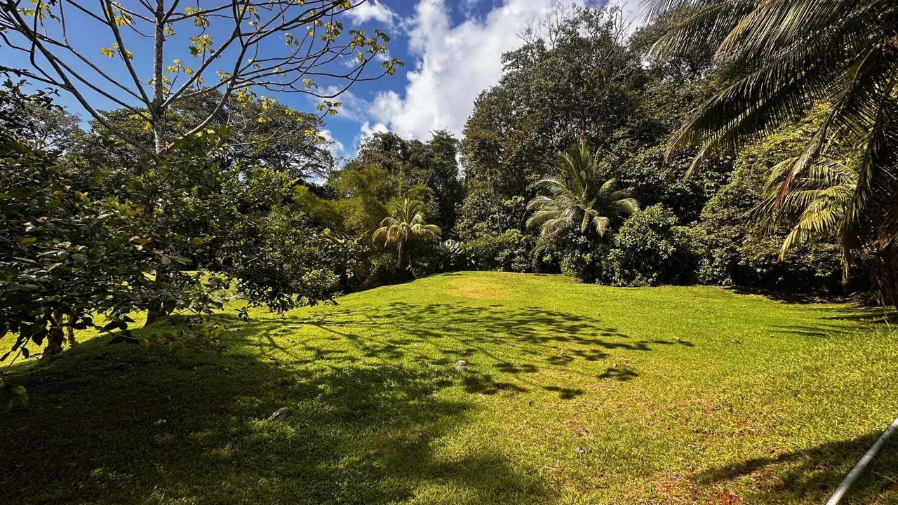 BUILDING PROPERTY NEAR TO THE RIVER, IN LAS BRISAS – 2.28 ACRES, photo 9