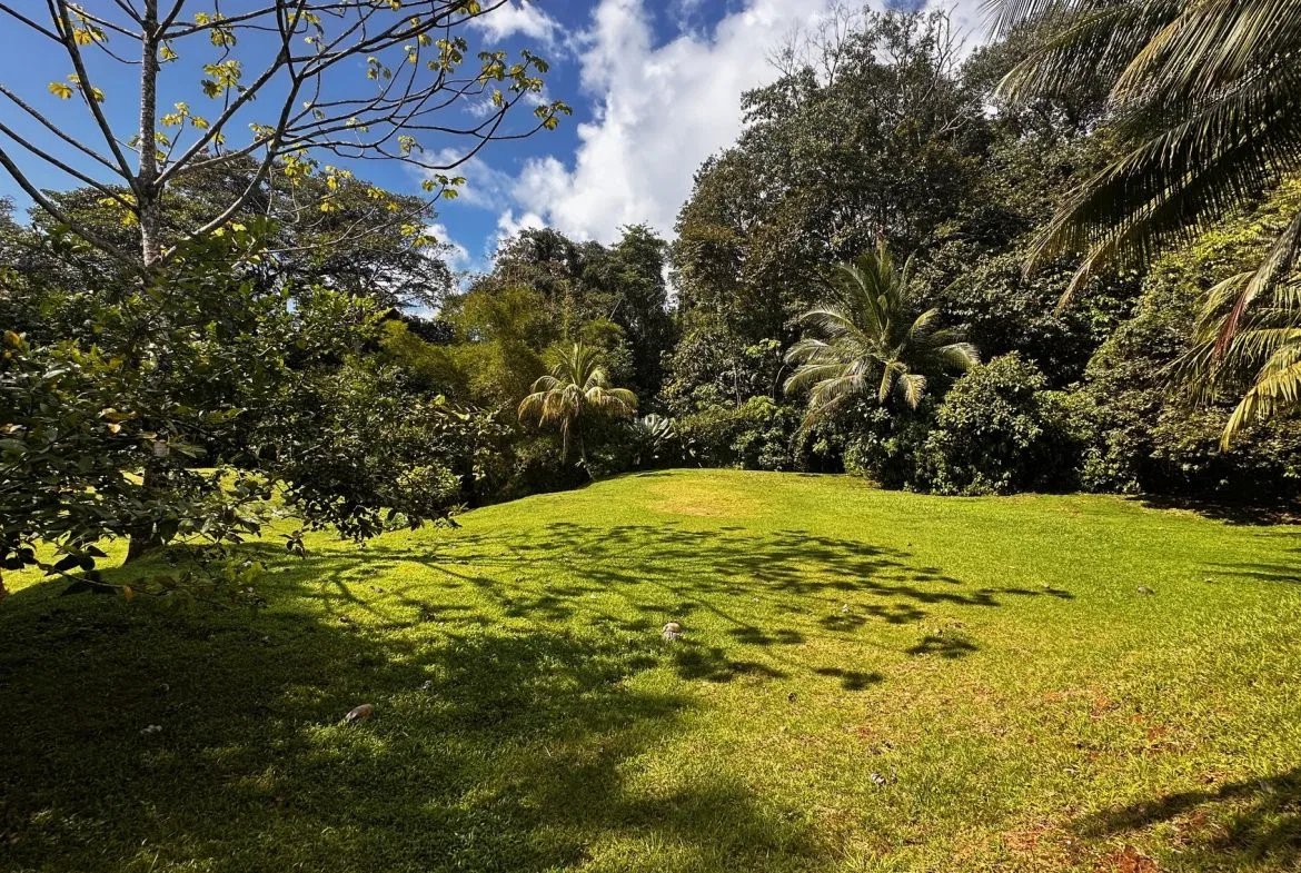 BUILDING PROPERTY NEAR TO THE RIVER, IN LAS BRISAS – 2.28 ACRES, photo 10