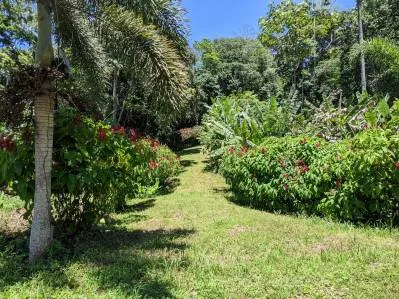 Lote # 39.1-  10 diferentes lotes de 6 - 20 U$ / m2, photo 8