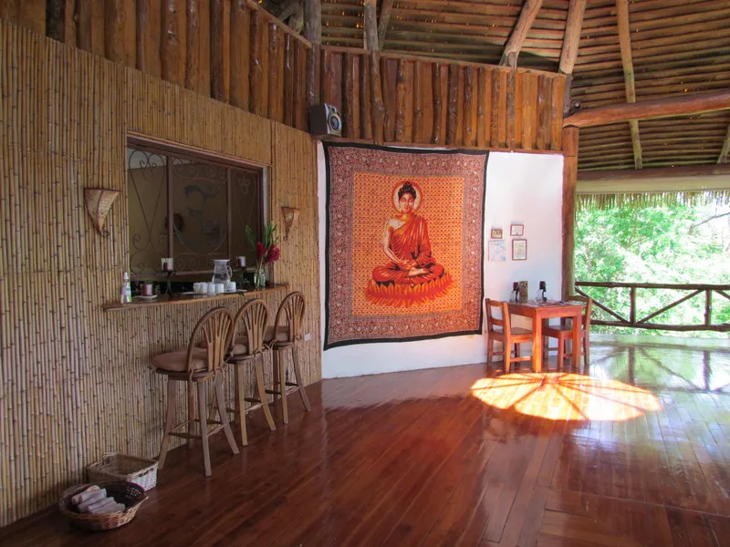 15 Bed Hotel / Leisure For Sale in Turrubares, photo 10