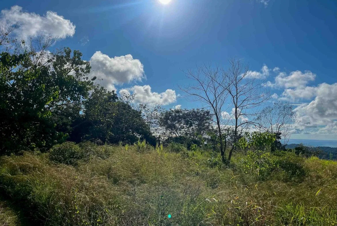 MOUNTAIN BUILDING PROPERTY WITH OCEAN VIEWS, IN OJOCHAL – 0.38 ACRES, photo 2
