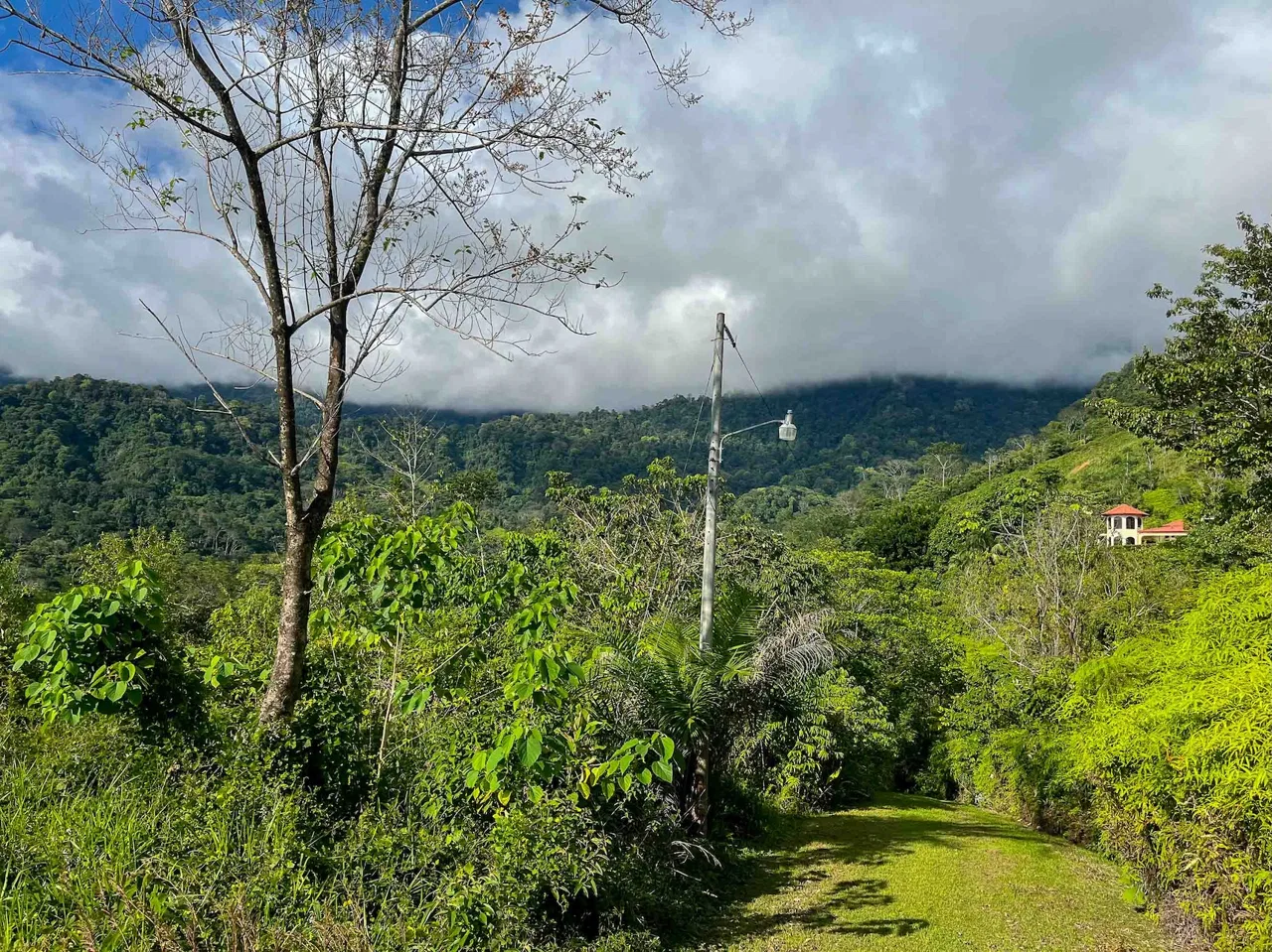 MOUNTAIN BUILDING PROPERTY WITH OCEAN VIEWS, IN OJOCHAL – 0.38 ACRES, photo 11